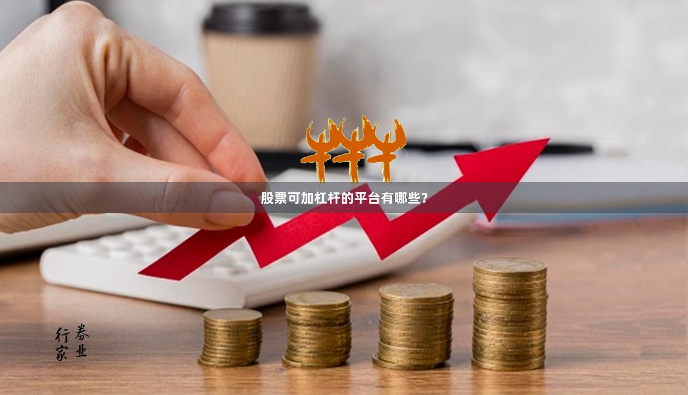 股票可加杠杆的平台有哪些？