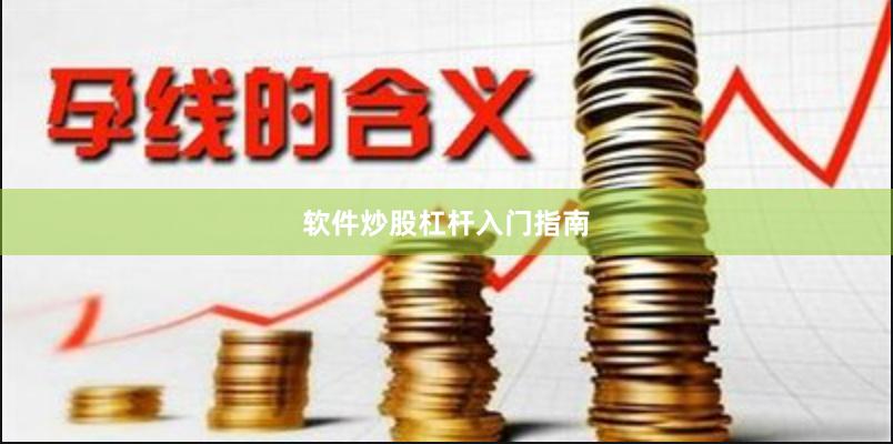 软件炒股杠杆入门指南
